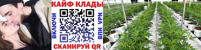 Виды наркотиков купить Старая Русса А ПВП  КОКАИН  МЕФ  ГАШИШ 