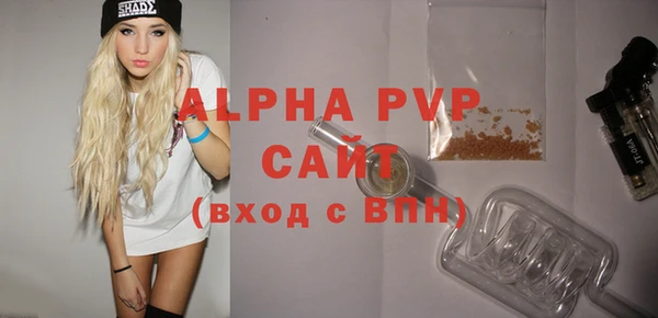 PSILOCYBIN Бородино