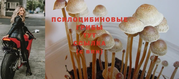 СК Балахна