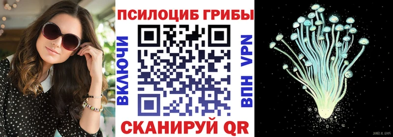 купить закладку  Старая Русса  кракен онион  Галлюциногенные грибы MAGIC MUSHROOMS 